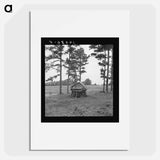 Henhouse on tobacco farm - Dorothea Lange Poster.