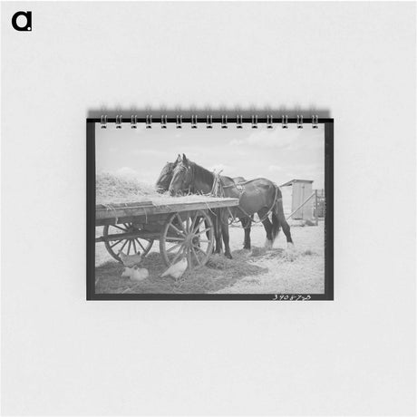 アートメモ帳-Iron River Signboard
 - ラッセル リー Memo.