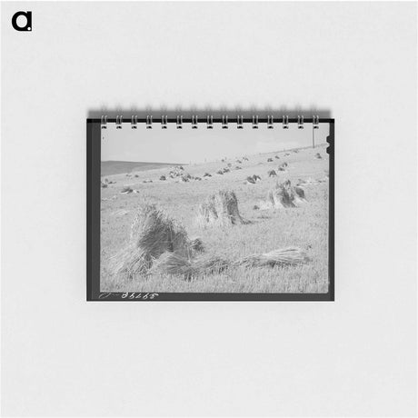 アートメモ帳-Cotton Freighter, Houston
 - ラッセル リー Memo.