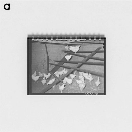 アートメモ帳-Kaffir Corn Field
 - ラッセル リー Memo.