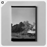 アートパネル-Primitive Coop
 - ラッセル リー Canvas.
