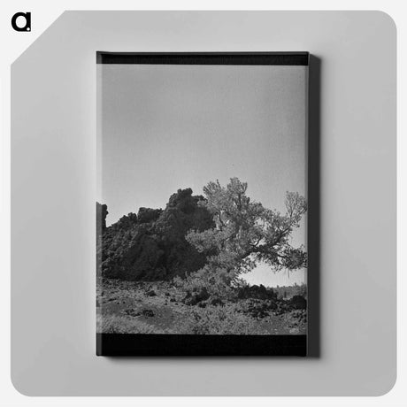 アートパネル-Primitive Coop
 - ラッセル リー Canvas.