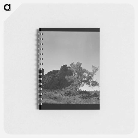 アートメモ帳-Primitive Coop
 - ラッセル リー Memo.