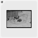 アートポストカード-Primitive Coop
 - ラッセル リー Postcard.