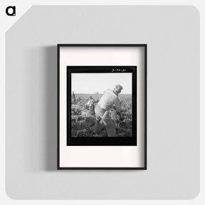 アートポスター-Untitled photo - ドロテア ラング Poster.