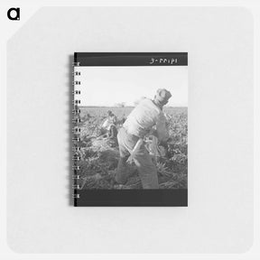 アートメモ帳-Untitled photo - ドロテア ラング Memo.