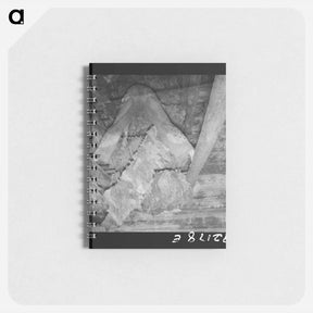 アートメモ帳-Untitled photo - ドロテア ラング Memo.