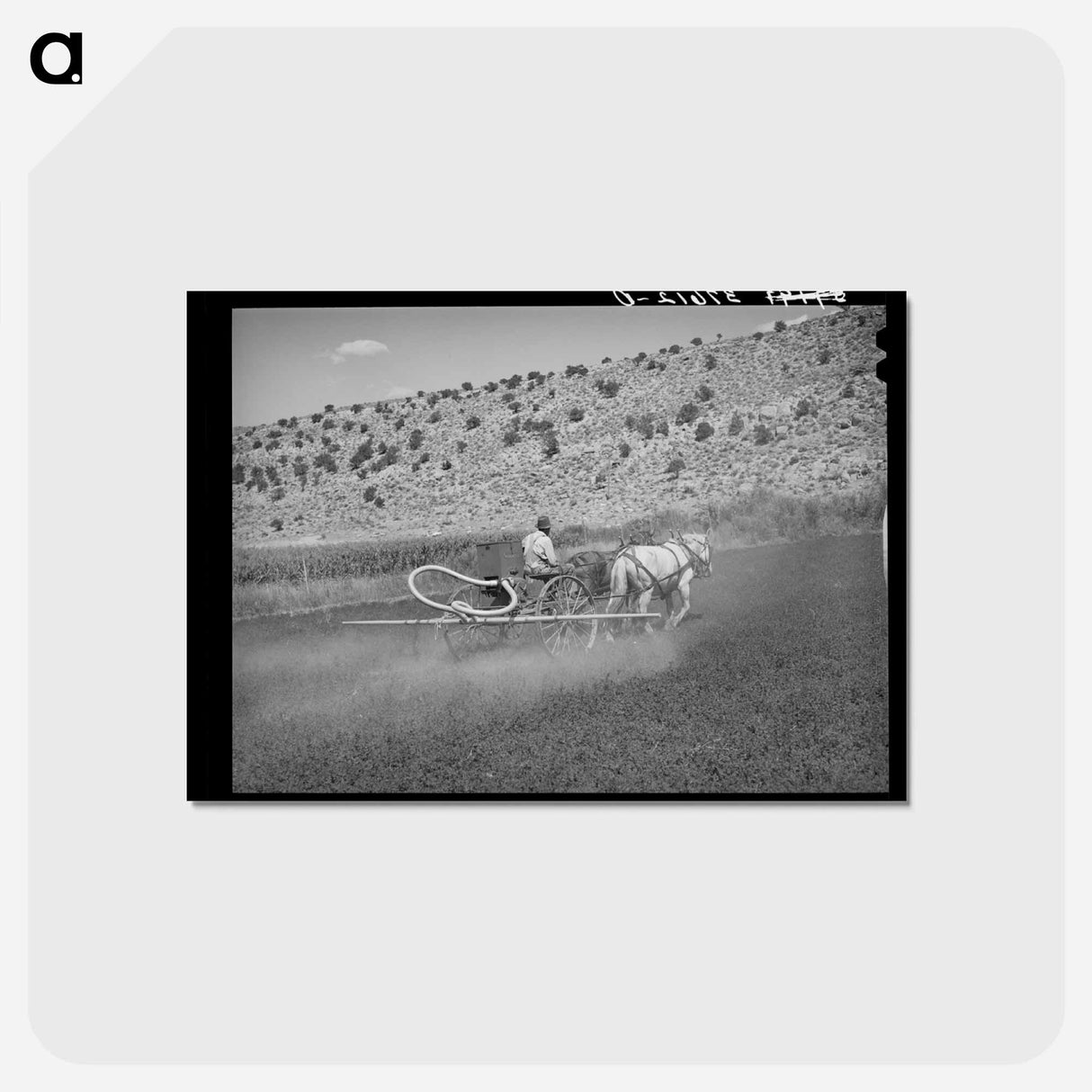 アートポストカード-Allen Valley Duster
 - ラッセル リー Postcard.