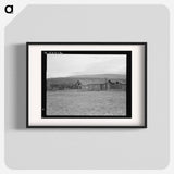 Partly-developed stump ranch seen across cleared grain field - Dorothea Lange Poster.