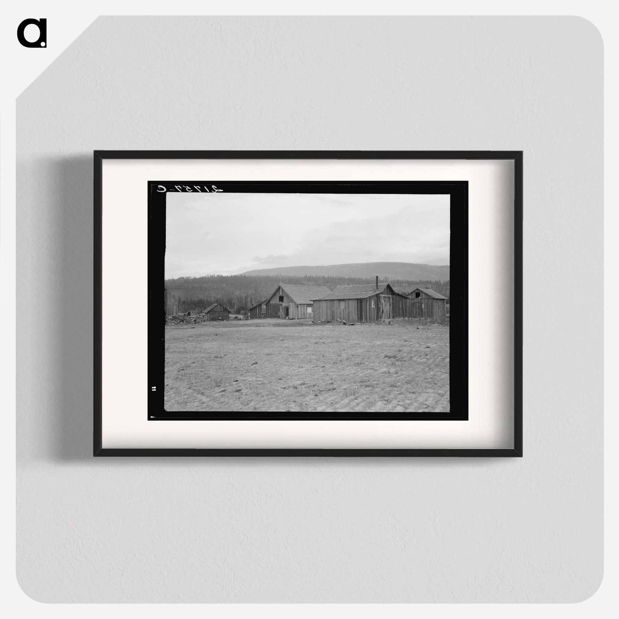 Partly-developed stump ranch seen across cleared grain field - Dorothea Lange Poster.
