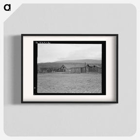 アートポスター-Partly-developed stump ranch seen across cleared grain field - ドロテア ラング Poster.