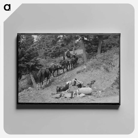アートパネル-Sheepherder's Journey
 - ラッセル リー Canvas.