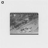アートメモ帳-Sheepherder's Journey
 - ラッセル リー Memo.