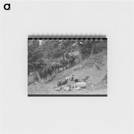 アートメモ帳-Sheepherder's Journey
 - ラッセル リー Memo.