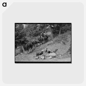 アートポストカード-Sheepherder's Journey
 - ラッセル リー Postcard.