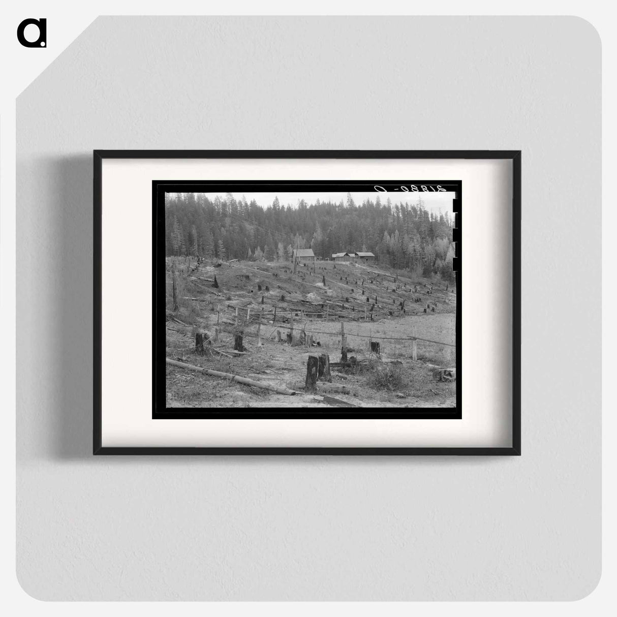 New settlers shack at foot of hills on poor sandy soil - Dorothea Lange Poster.