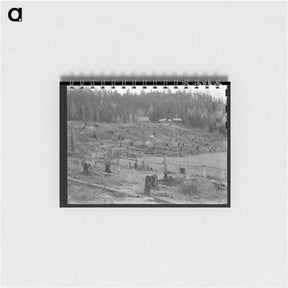 アートメモ帳-New settlers shack at foot of hills on poor sandy soil - ドロテア ラング Memo.