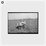 アートポストカード-Blueberry Pickers
 - ラッセル リー Postcard.