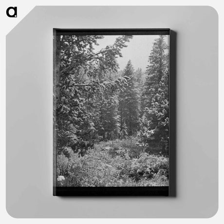 アートパネル-First Snow, Montana
 - ラッセル リー Canvas.