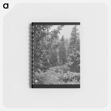 アートメモ帳-First Snow, Montana
 - ラッセル リー Memo.