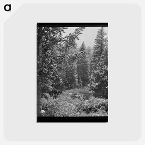 アートポストカード-First Snow, Montana
 - ラッセル リー Postcard.