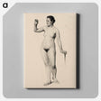 アートパネル-Naked woman. Female Nude Holding a Clove
 - イェール大学アートギャラリー Canvas.