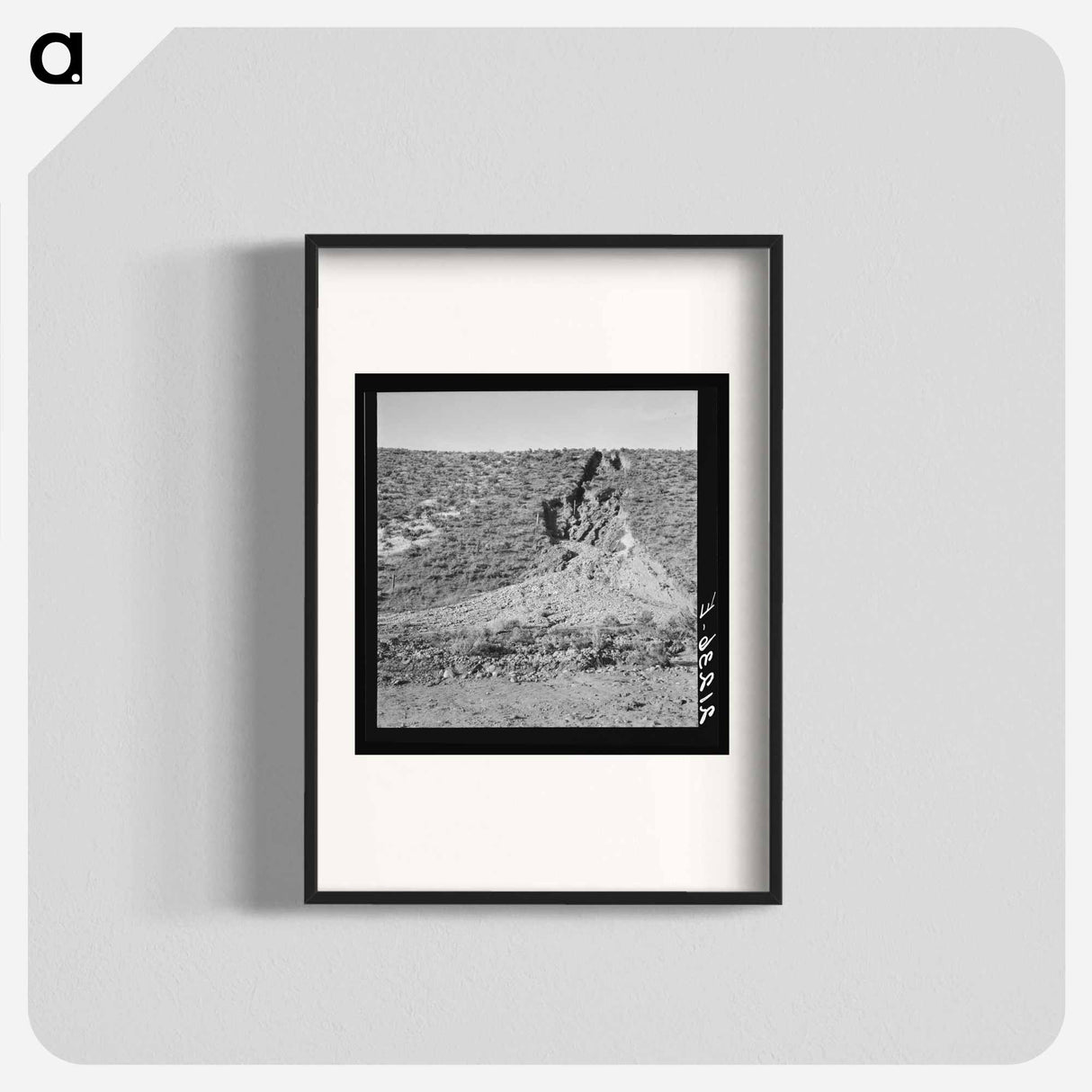 Untitled photo - Dorothea Lange Poster.