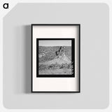 Untitled photo - Dorothea Lange Poster.