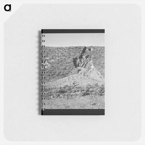アートメモ帳-Untitled photo - ドロテア ラング Memo.