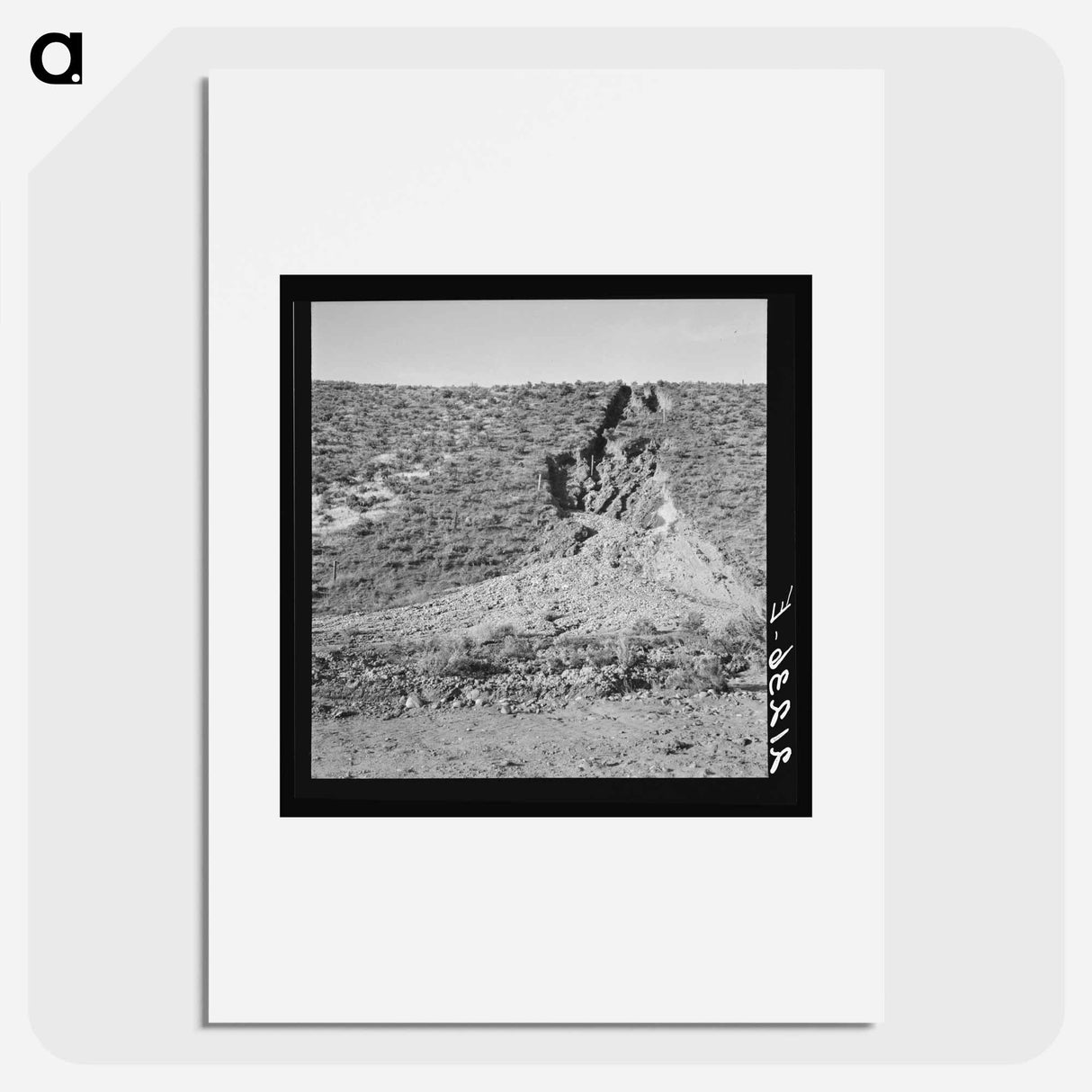 Untitled photo - Dorothea Lange Poster.