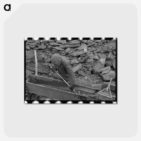 アートポストカード-Gold Miner at Two Bit Creek
 - ラッセル リー Postcard.