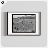 Cut-over land, part of stump ranch - Dorothea Lange Poster.