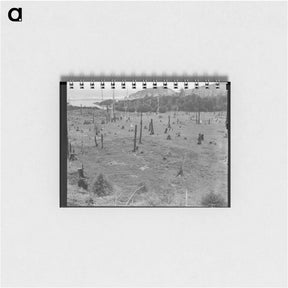アートメモ帳-Cut-over land, part of stump ranch - ドロテア ラング Memo.