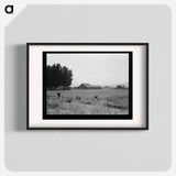 Washington, Yakima Valley, west of Toppenish - Dorothea Lange Poster.