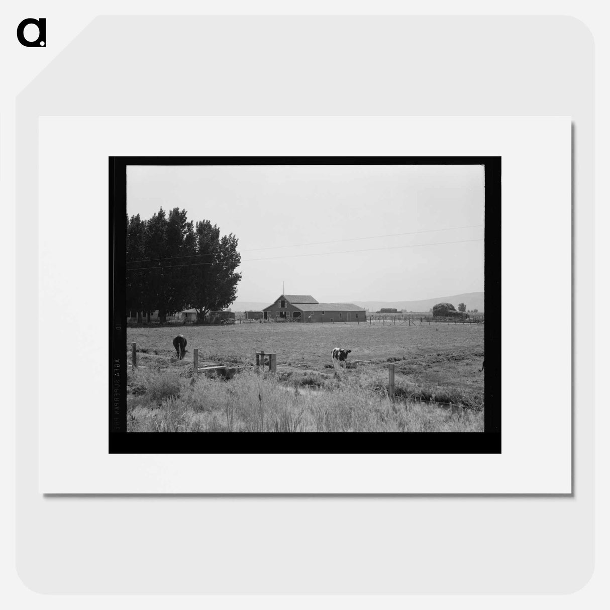 Washington, Yakima Valley, west of Toppenish - Dorothea Lange Poster.