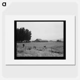 Washington, Yakima Valley, west of Toppenish - Dorothea Lange Poster.