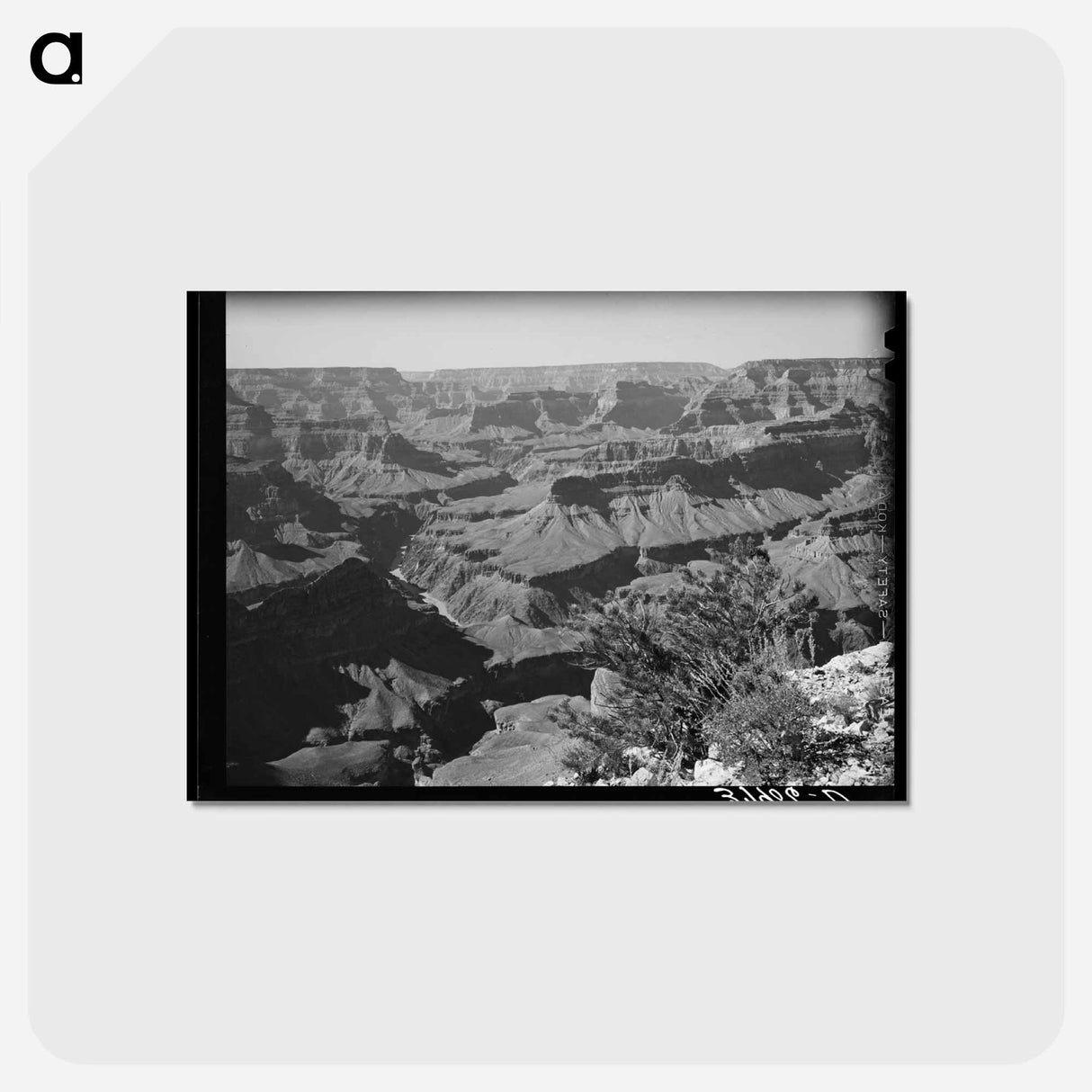 アートポストカード-Grand Canyon of the Colorado River
 - ラッセル リー Postcard.