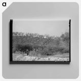 アートパネル-Erosion in Placer County Orchards
 - ラッセル リー Canvas.