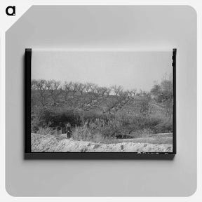 アートパネル-Erosion in Placer County Orchards
 - ラッセル リー Canvas.