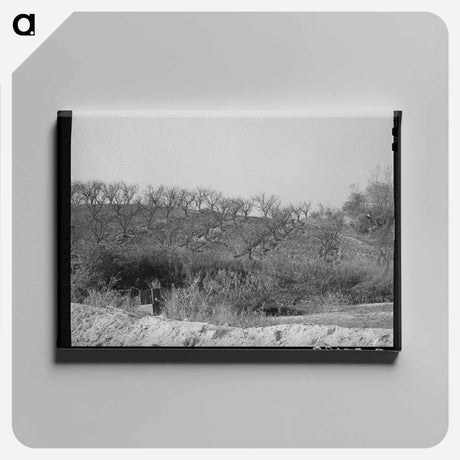 アートパネル-Erosion in Placer County Orchards
 - ラッセル リー Canvas.