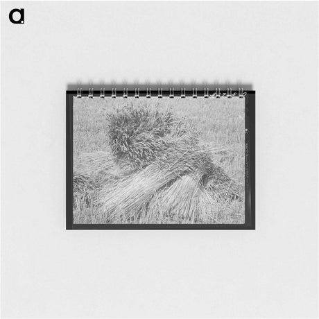 アートメモ帳-Wheat in the Shock
 - ラッセル リー Memo.