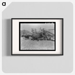 アートポスター-Untitled photo, possibly related to: The threshing of oats - ドロテア ラング Poster.
