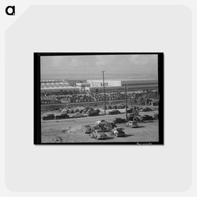 アートポストカード-Consolidated Aircraft Parking
 - ラッセル リー Postcard.