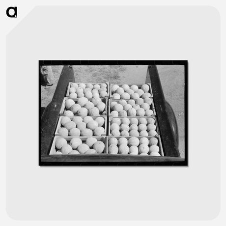 アートポストカード-Cantaloupes of Box Elder County
 - ラッセル リー Postcard.