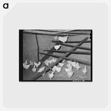 アートポストカード-Adobe Chicken House Scene
 - ラッセル リー Postcard.