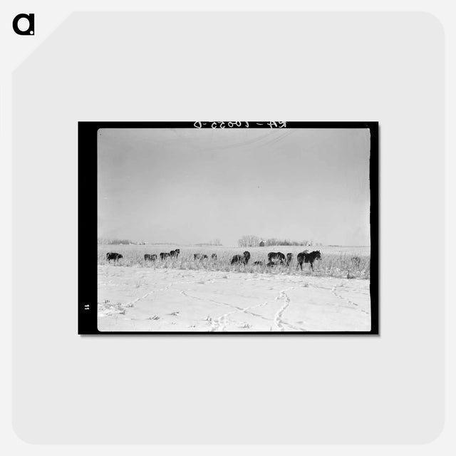 アートポストカード-Iowa
 - ラッセル リー Postcard.