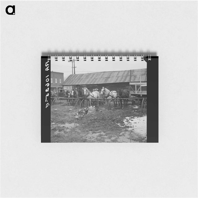 アートメモ帳-Horses at Joy, Illinois
 - ラッセル リー Memo.
