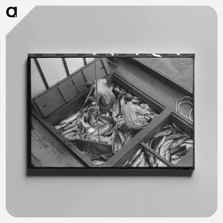 アートパネル-Unloading Salmon, Astoria
 - ラッセル リー Canvas.