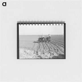 アートメモ帳-Untitled photo - ドロテア ラング Memo.