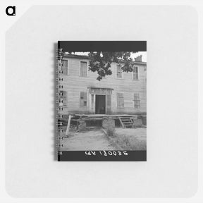 アートメモ帳-Untitled photo - ドロテア ラング Memo.